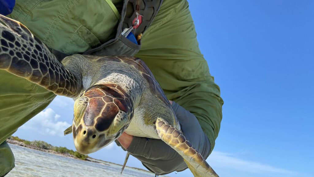 acklins-gallery-img03