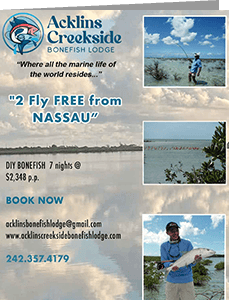 Fly Free From Nassau Flyer